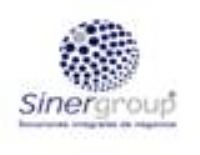 SINERGROUP